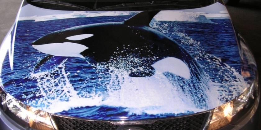 704c214b9122e0c6e5fd8426322a2bd25dd