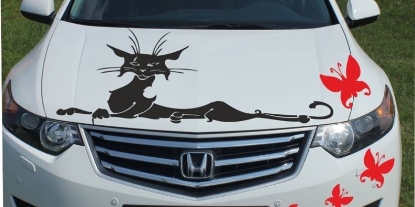 530ad1c0f28363258862f7e25ef91813c8a