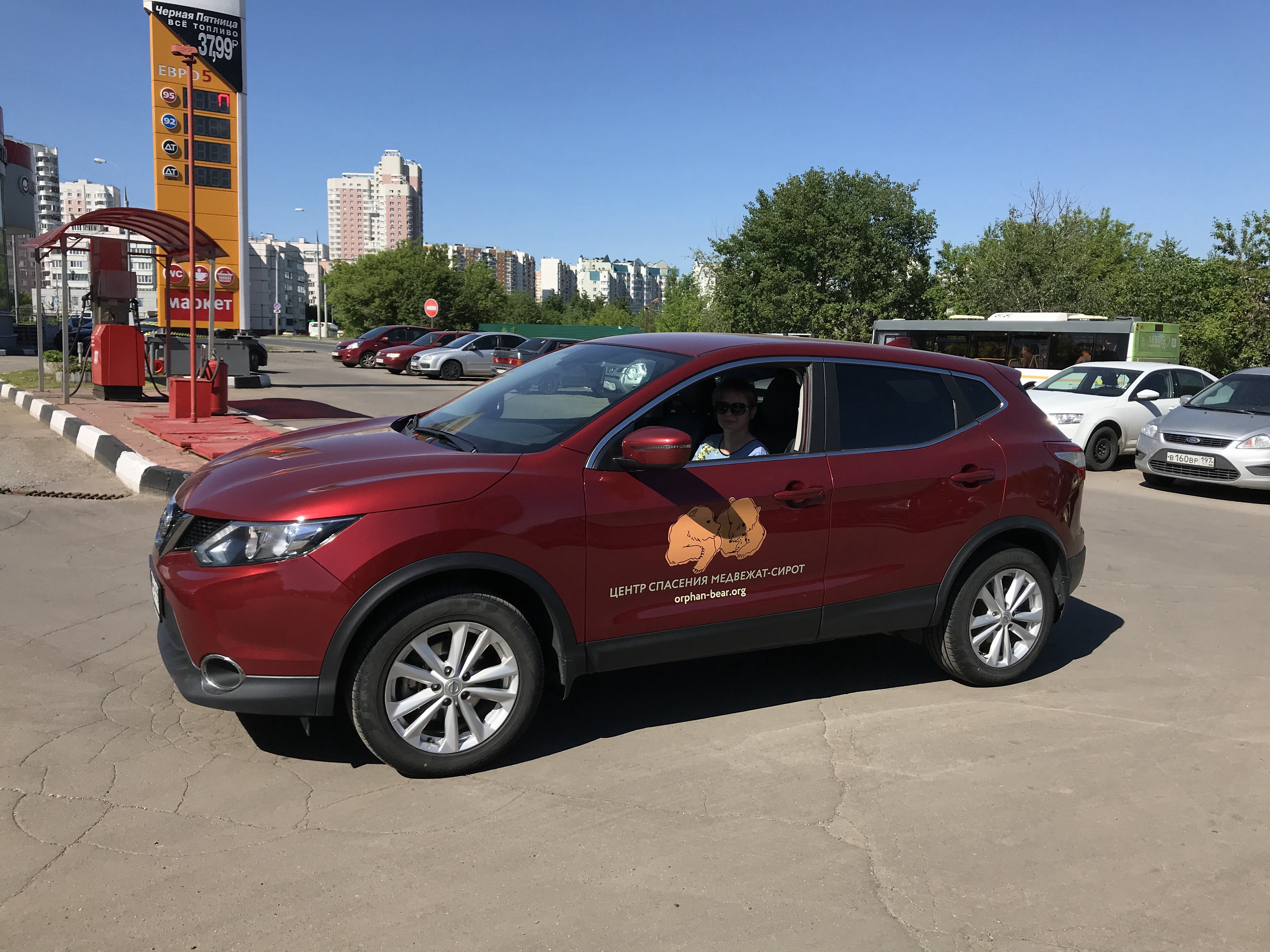 Брендирование Nissan Qashqai для Центр спасения медвежат-сирот