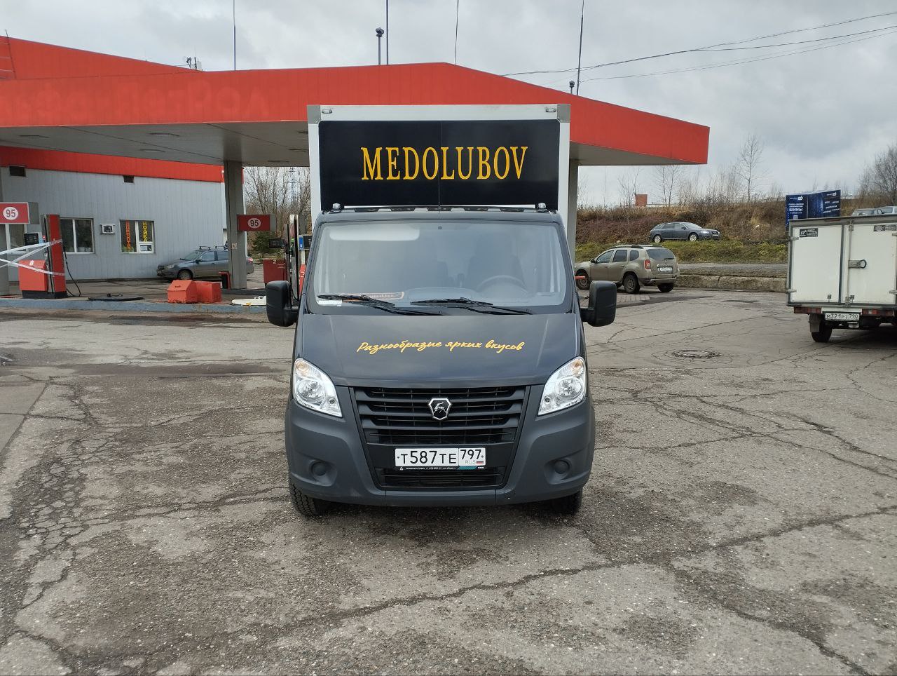 Газель для Medolubov