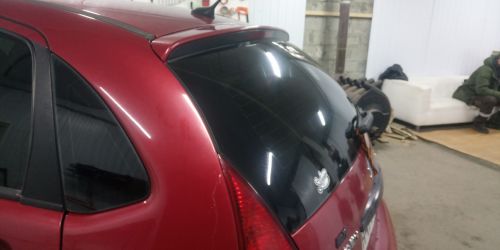 Тонировка бокового и заднего стекла Citroen