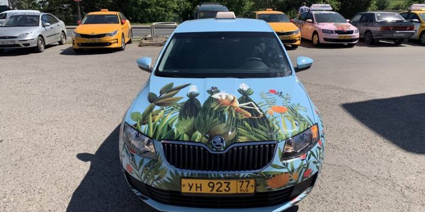 716d516bbf6406354d30d5b872273503b67_800x600_f14