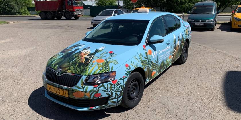 803f4fbfad809acdec31d5c04f996fa50db