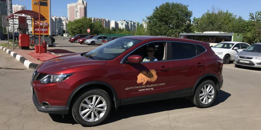 Оклейка Nissan Qashqai